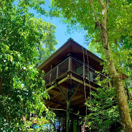 Cairns Rainforest Retreat 외부 사진