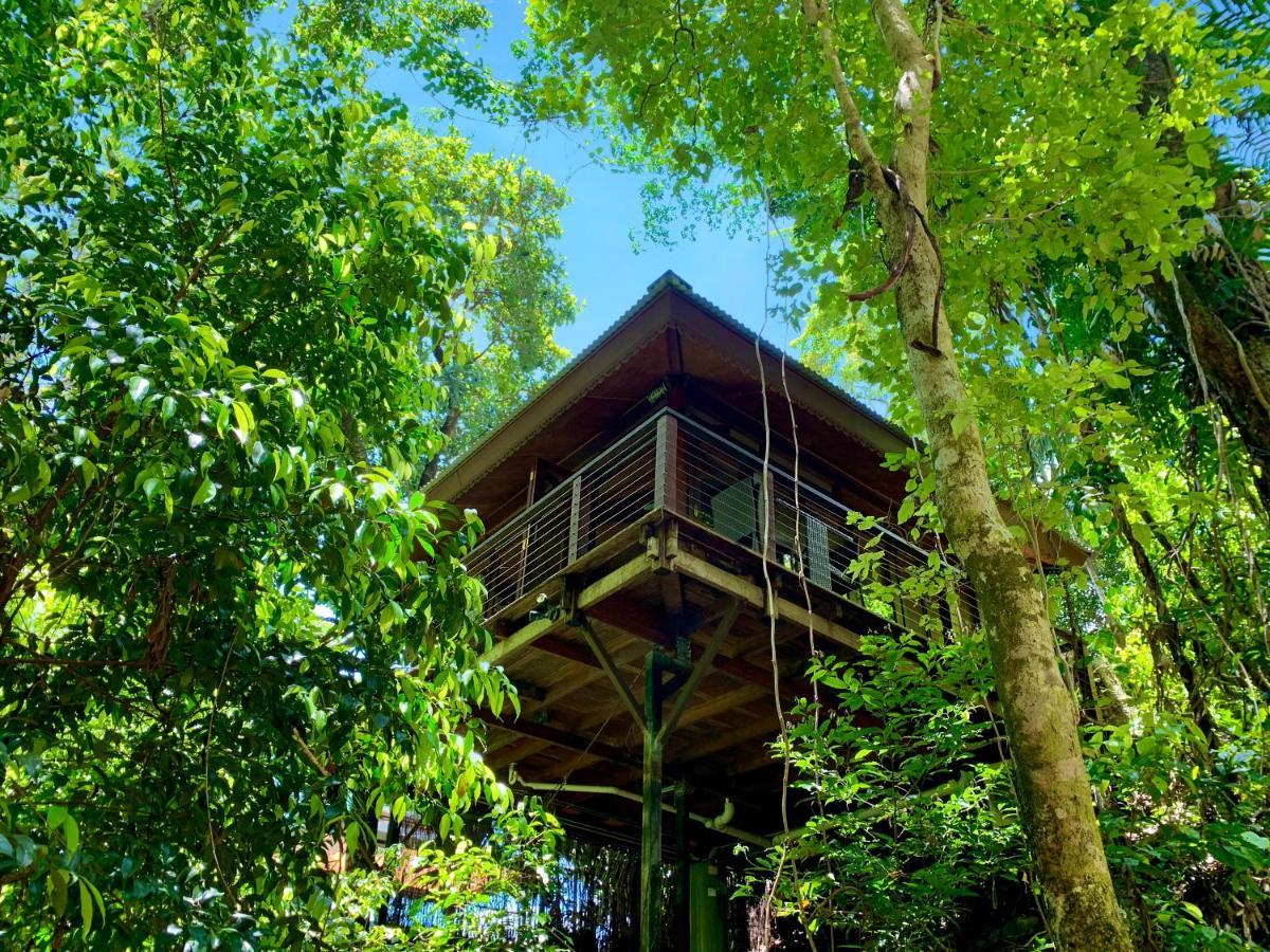 Cairns Rainforest Retreat 외부 사진