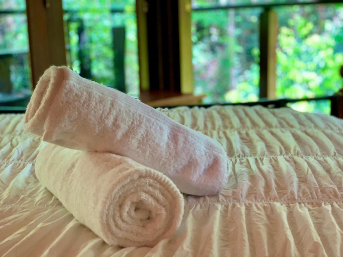 Cairns Rainforest Retreat 외부 사진