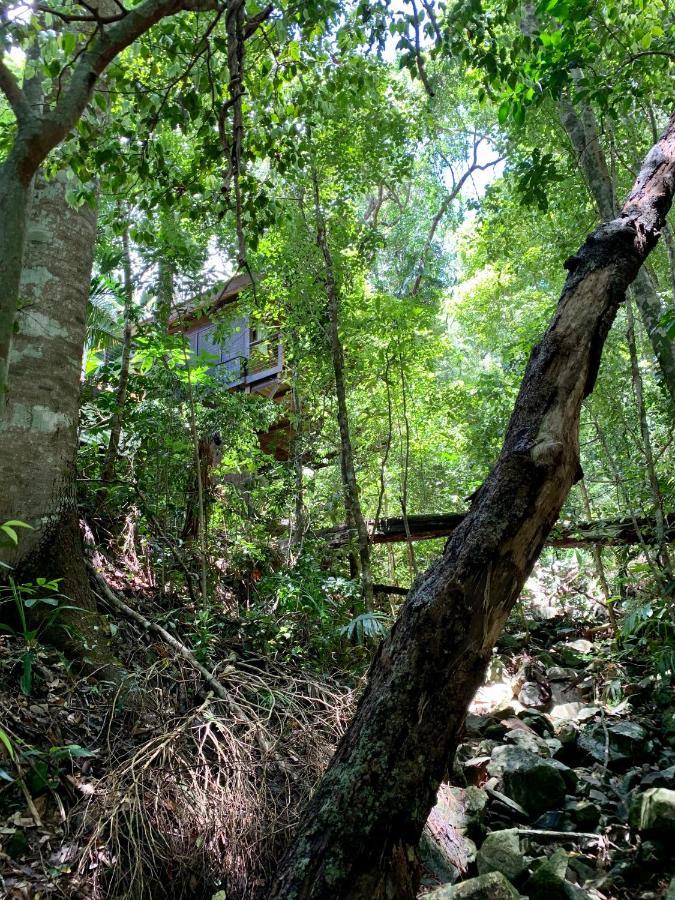Cairns Rainforest Retreat 외부 사진