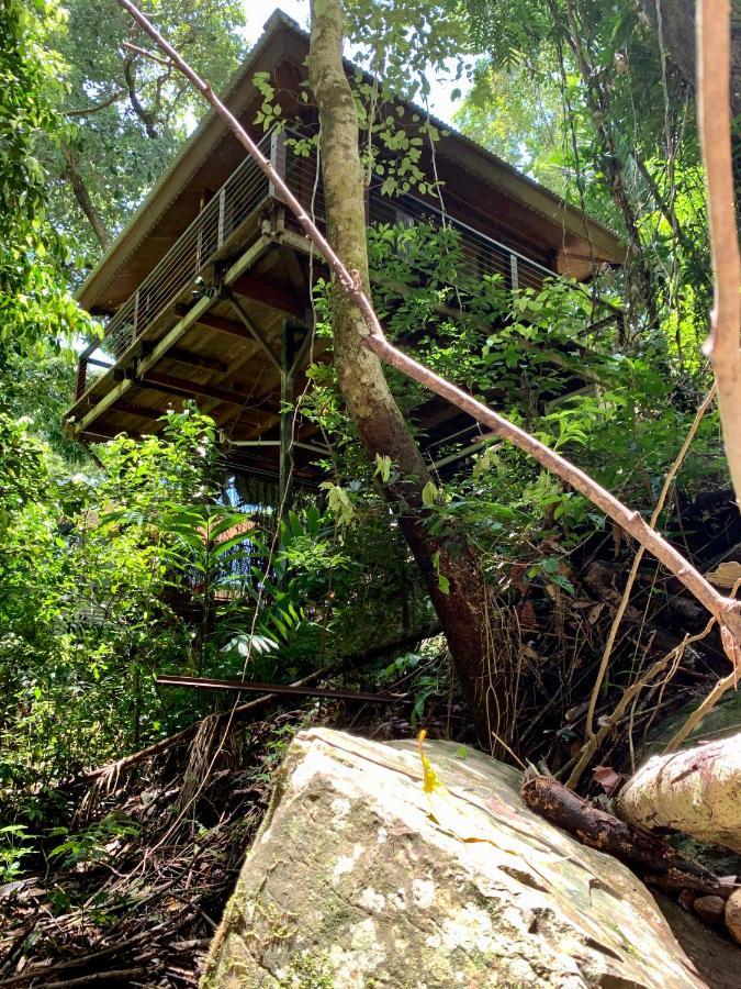 Cairns Rainforest Retreat 외부 사진