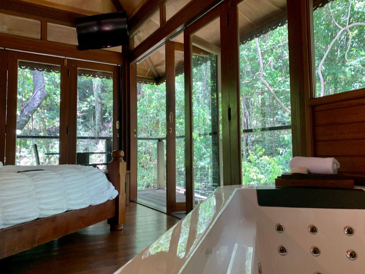 Cairns Rainforest Retreat 외부 사진