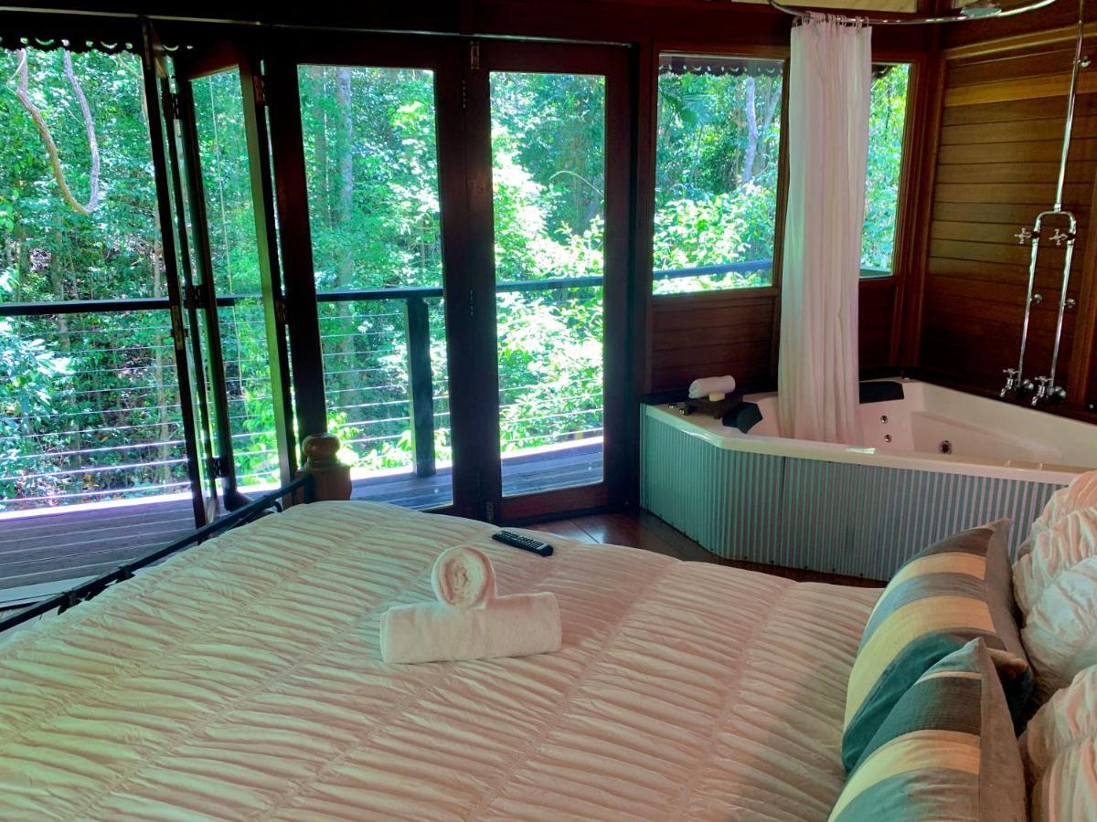 Cairns Rainforest Retreat 외부 사진