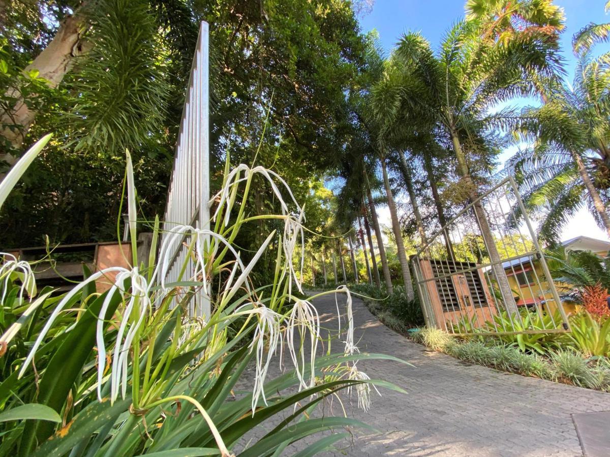 Cairns Rainforest Retreat 외부 사진